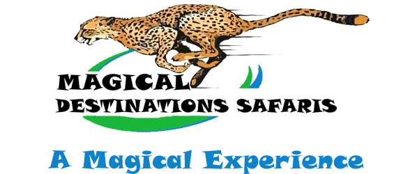 Magical Angel Destinations Safaris